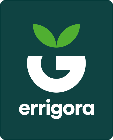 24. korrika aek Euskara gara